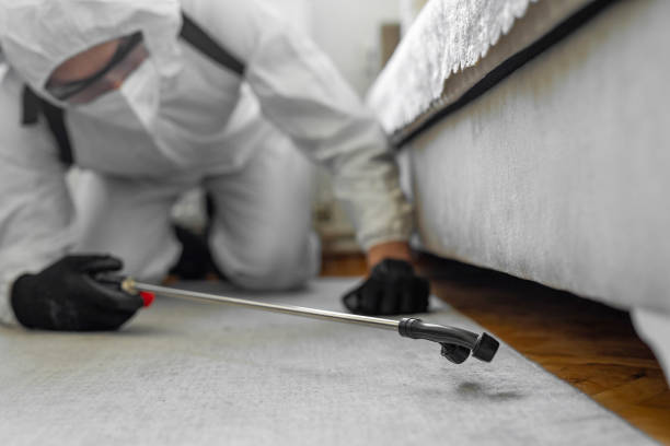 Professional Cockroach Control technician working in Junction City, KY